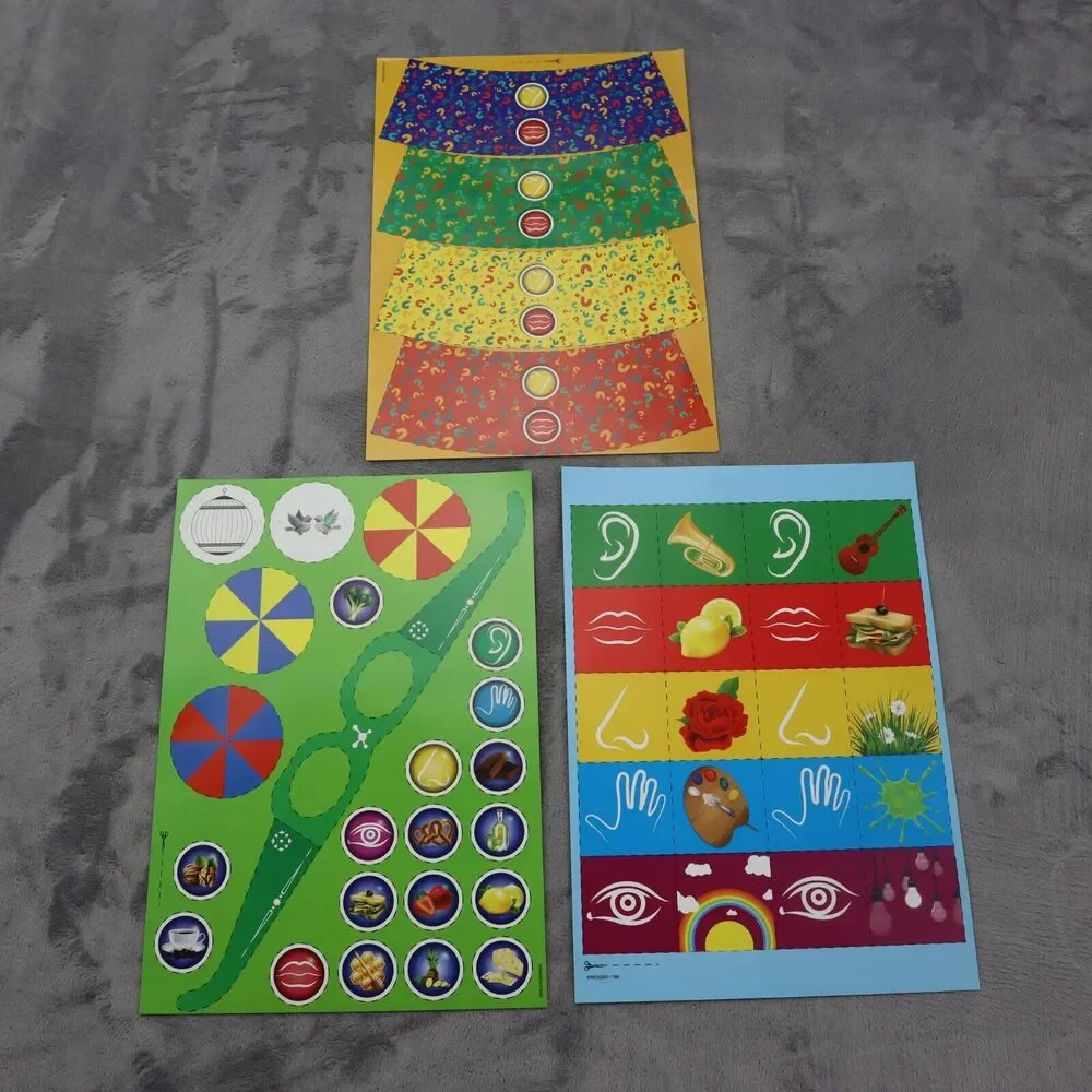 Discovering 5 Senses 19 Experiments Activity Set STEAM Educational Toys